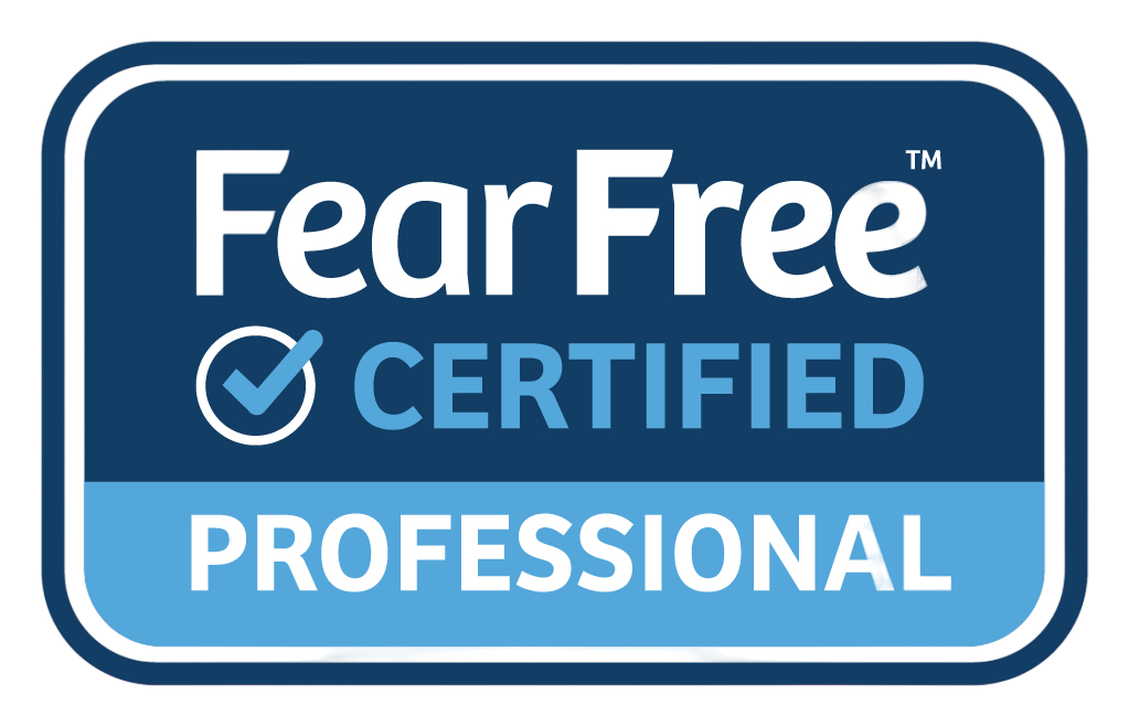 Certificación 1